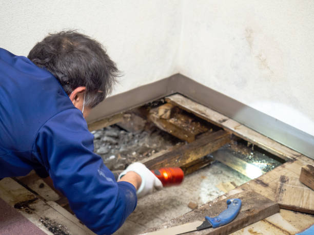 Best Crawl Space Mold Removal  in Euclid, OH