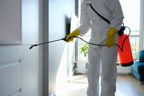 Best Toxic Mold Removal  in Euclid, OH