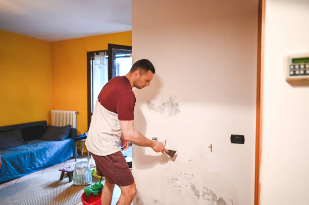 Best Commercial Mold Removal  in Euclid, OH